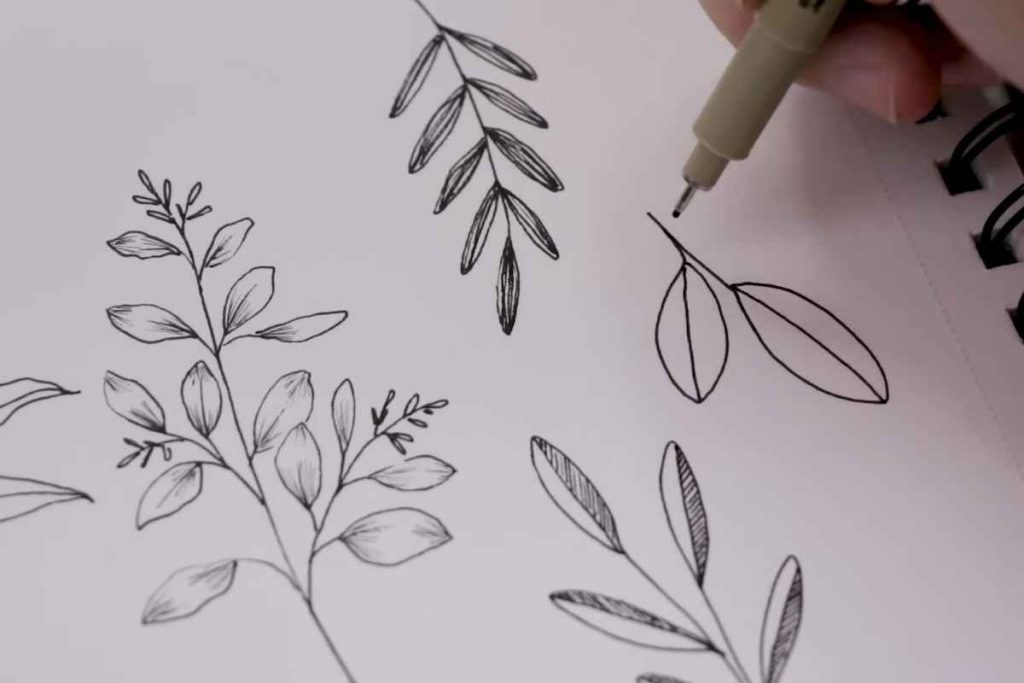 Botanical Sketching for Beginners A StepbyStep