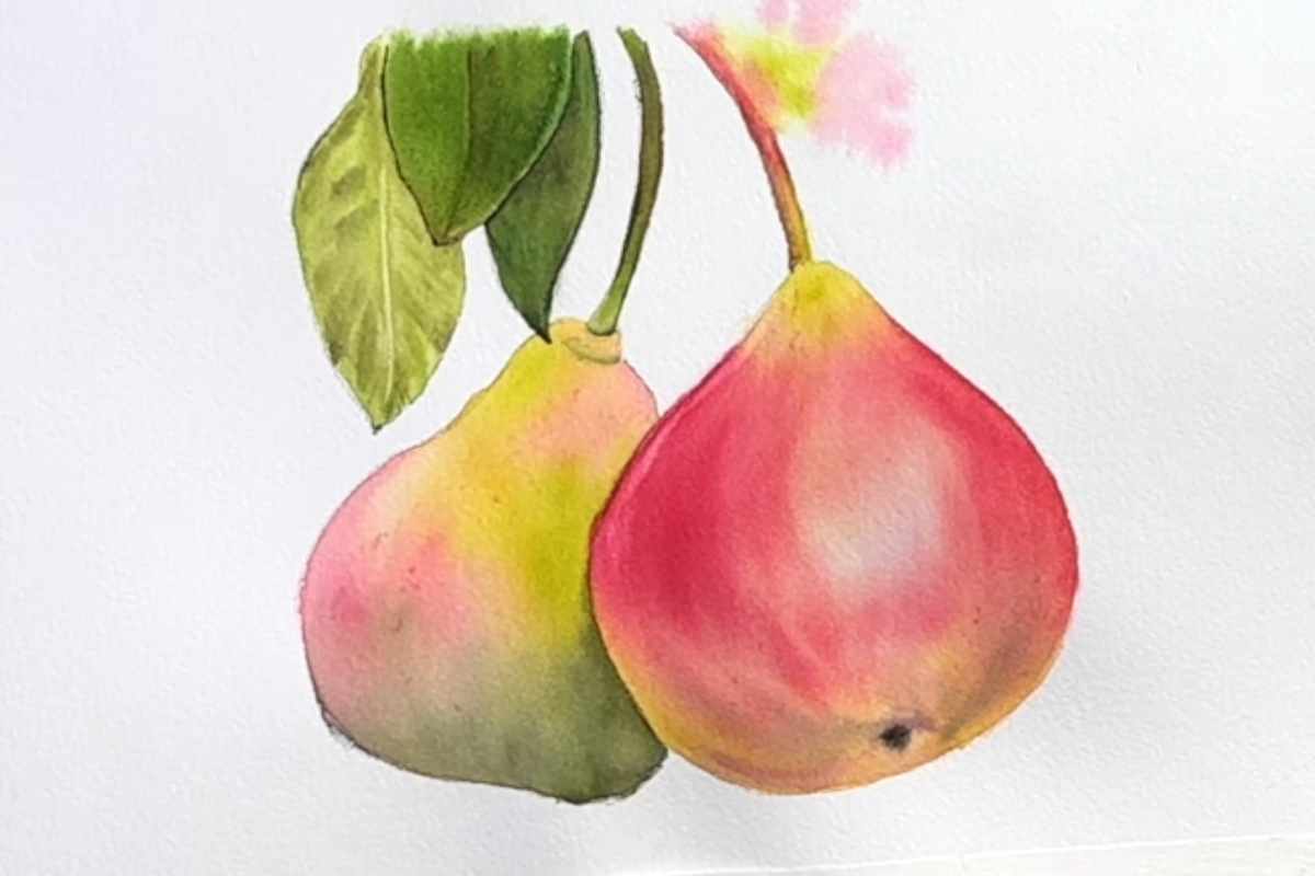 Learn To Paint Stunning Watercolor Pears With Easy Layering Techniques