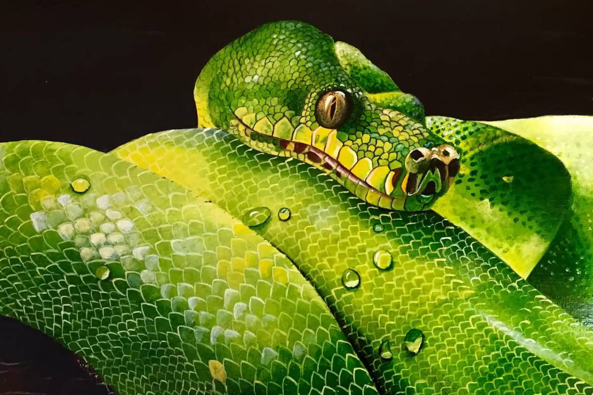 Realistic Python Acrylic Painting: Capturing Detailed Scales