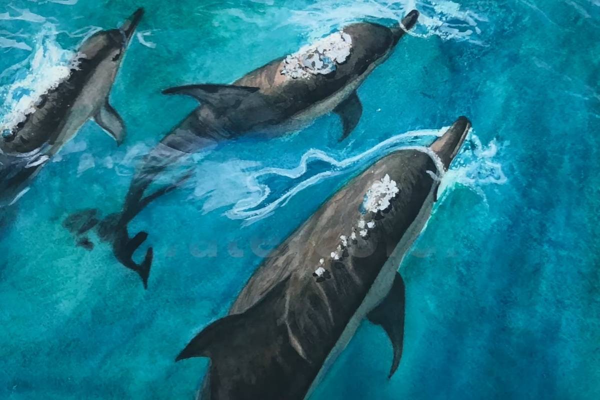 Stunning Watercolor Dolphins (Step-by-Step Guide)