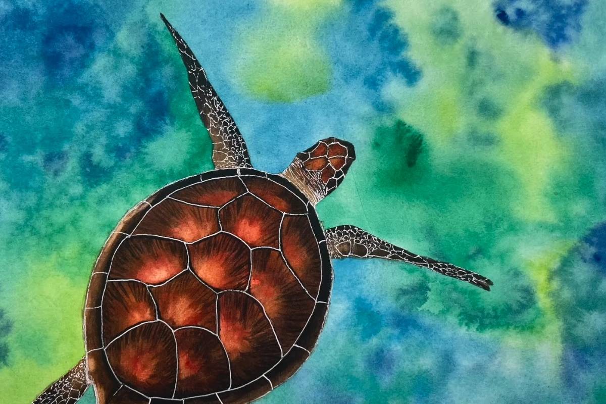 Paint a Stunning Sea Turtle in Watercolor (Easy Tutorial)
