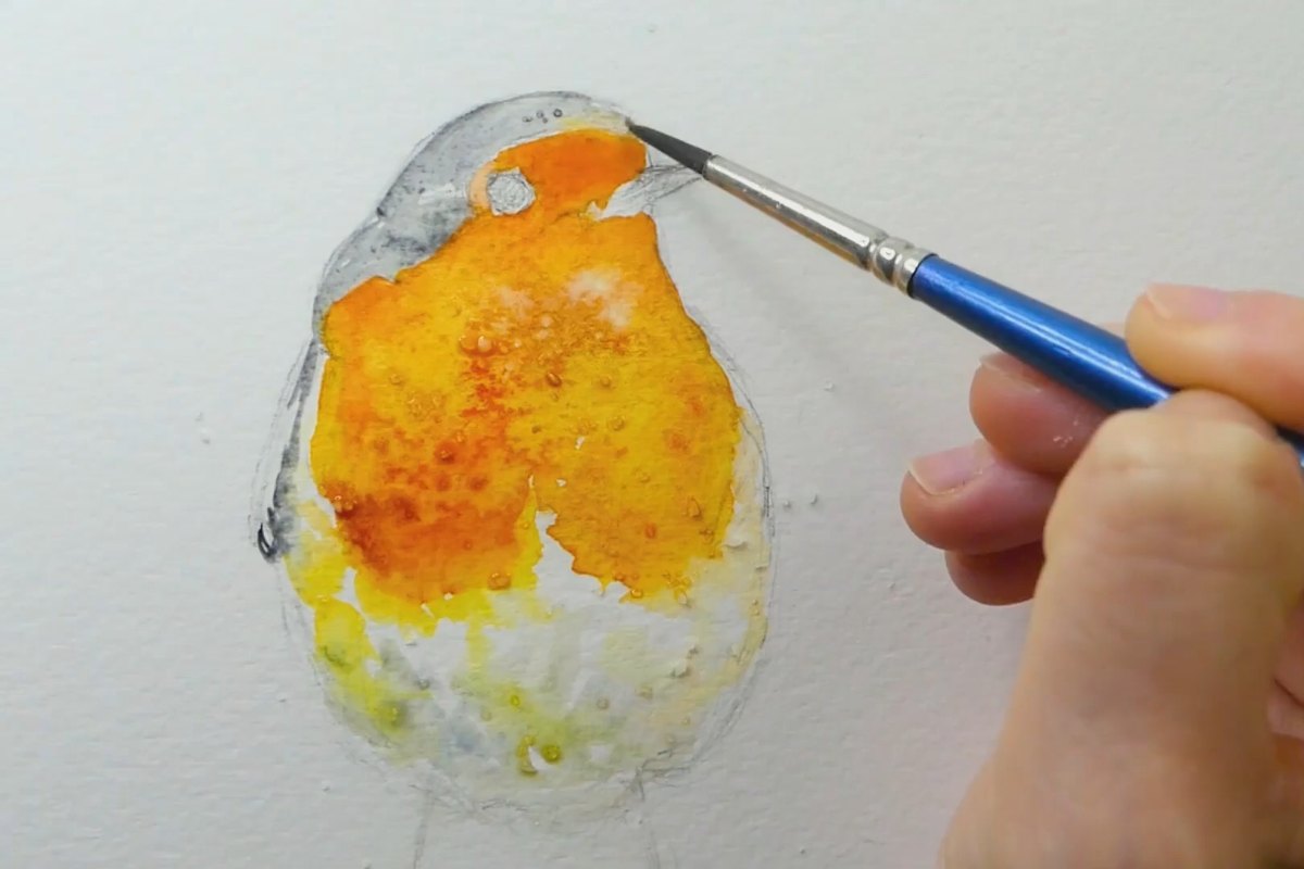 Easy Watercolor Winter Birds: Paint a Red Cardinal and a Robin