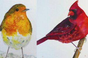 Finished watercolor painting of a European robin and a red cardinal by Rada Art Studio